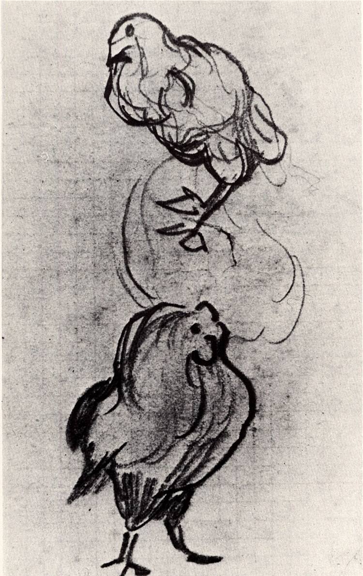 一只母鸡和一只公鸡的素描 Sketches of a Hen and a Cock (1890; Auvers-sur-oise,France  )，文森特·梵高