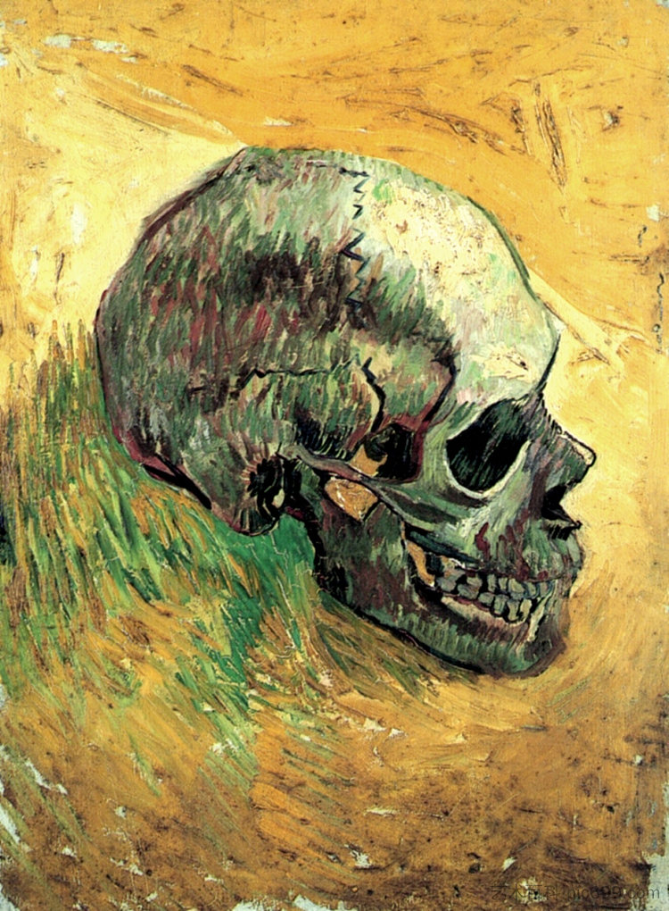 头盖骨 Skull (c.1887; Paris,France  )，文森特·梵高