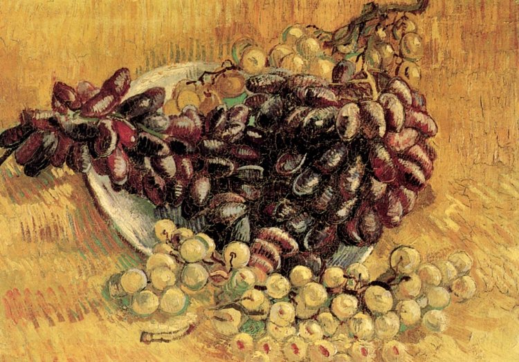 静物与葡萄Still Life with Grapes (1887; Paris,France )，文森特·梵