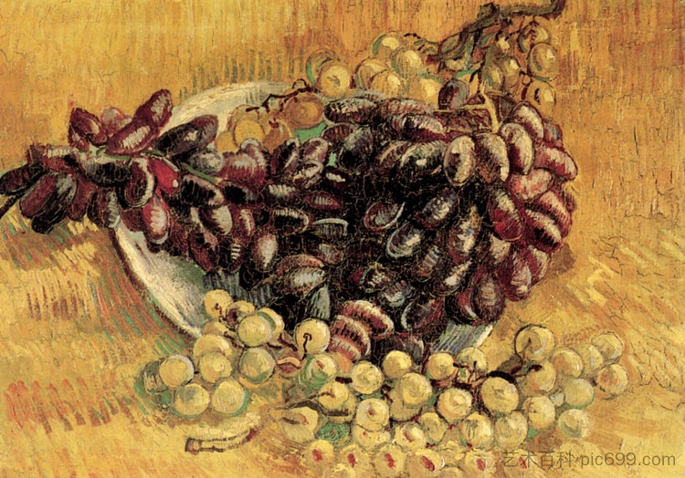 静物与葡萄Still Life with Grapes (1887; Paris,France )，文森特·梵