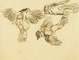 一只死麻雀的研究 Studies of a Dead Sparrow (1885; Nunen / Nuenen,Netherlands                     )，文森特·梵高