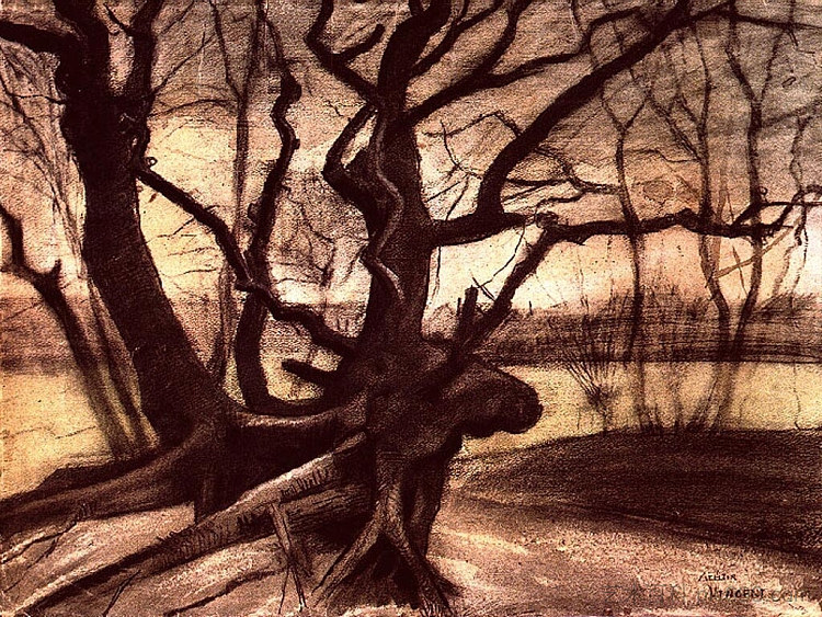 一棵树的研究 Study of a Tree (1882; Haag / Den Haag / La Haye / The Hague,Netherlands  )，文森特·梵高