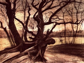 一棵树的研究 Study of a Tree (1882; Haag / Den Haag / La Haye / The Hague,Netherlands                     )，文森特·梵高