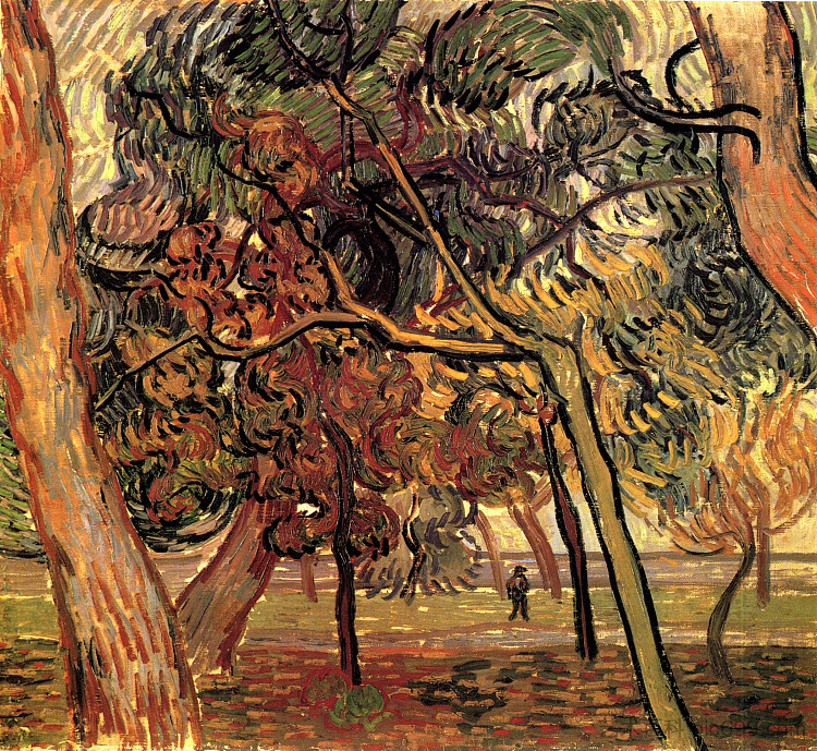 松树研究 Study of Pine Trees (1889; Saint-rémy-de-provence,France  )，文森特·梵高
