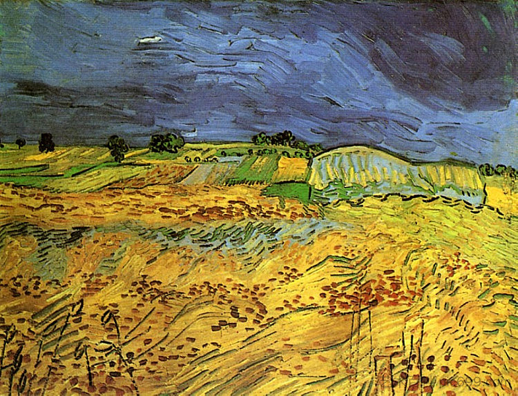 田野 The Fields (1890; Auvers-sur-oise,France  )，文森特·梵高