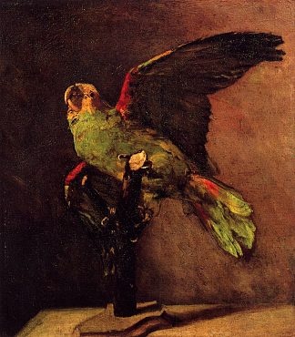 绿鹦鹉 The Green Parrot (1886; Paris,France                     )，文森特·梵高