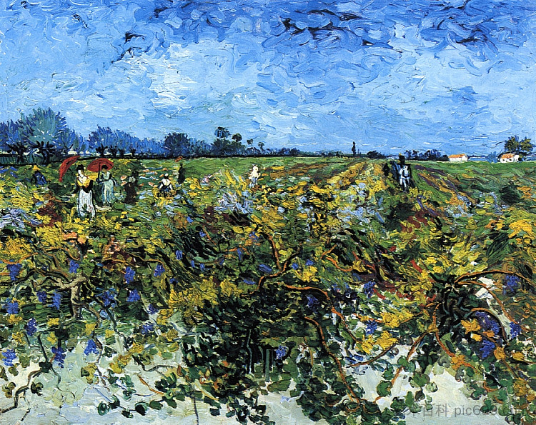 绿色葡萄园 The Green Vinyard (1888; Arles,Bouches-du-Rhône,France ),文森特·梵高