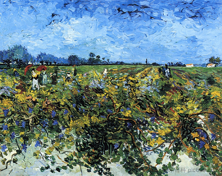 绿色葡萄园 The Green Vinyard (1888; Arles,Bouches-du-Rhône,France  )，文森特·梵高