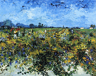 绿色葡萄园 The Green Vinyard (1888; Arles,Bouches-du-Rhône,France                     )，文森特·梵高