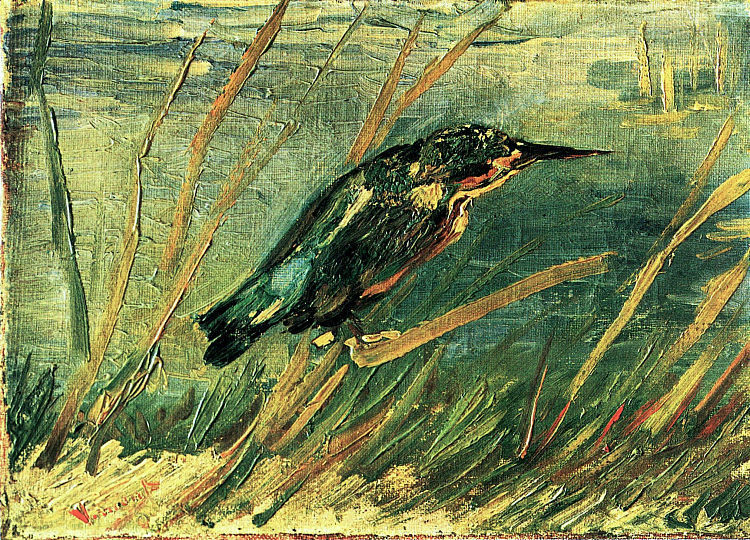 翠鸟 The Kingfisher (1886; Paris,France  )，文森特·梵高