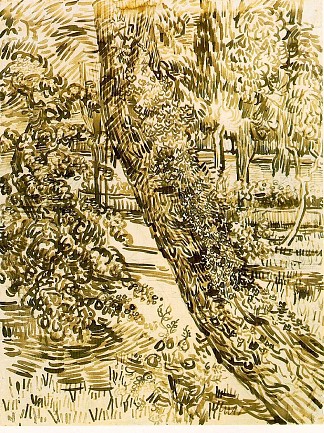 树与常春藤在疯人院花园 Tree with Ivy in the Asylum Garden (1889; Saint-rémy-de-provence,France                     )，文森特·梵高