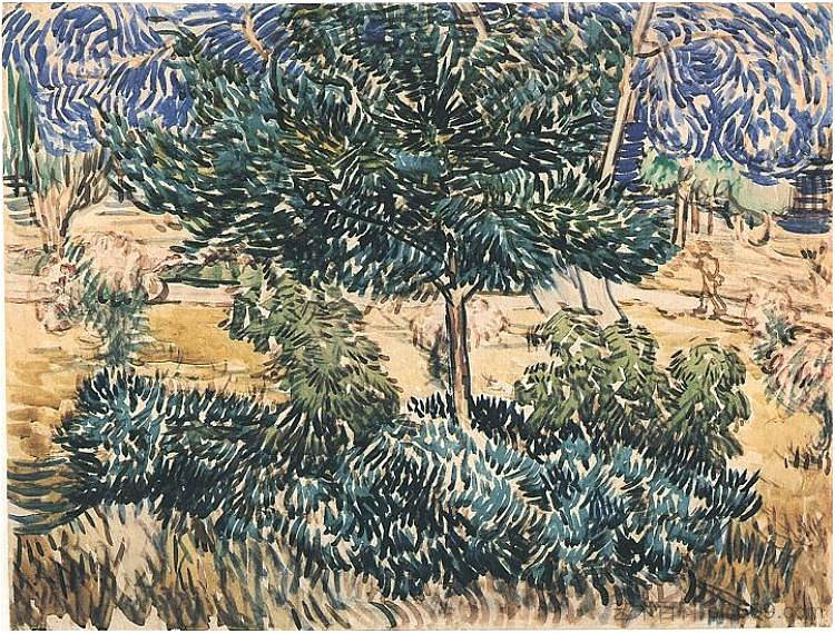 树木和灌木 Trees and Shrubs (1889; Saint-rémy-de-provence,France  )，文森特·梵高