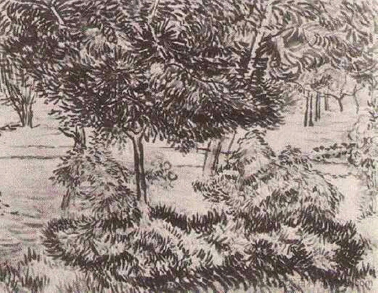 树木和灌木 Trees and Shrubs (1889; Saint-rémy-de-provence,France  )，文森特·梵高