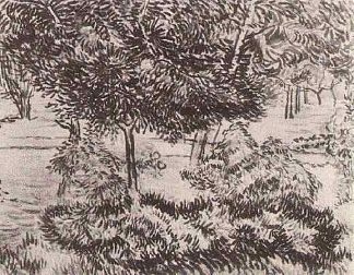 树木和灌木 Trees and Shrubs (1889; Saint-rémy-de-provence,France                     )，文森特·梵高