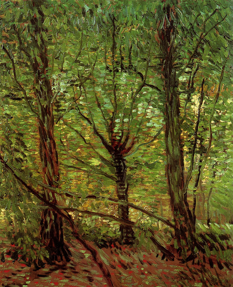 树木和灌木丛 Trees and Undergrowth (1887; Paris,France  )，文森特·梵高