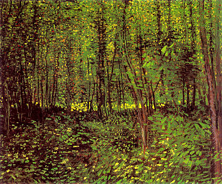 树木和灌木丛 Trees and Undergrowth (1887; Paris,France                     )，文森特·梵高