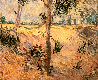 阳光明媚的日子里田野里的树 Trees in a Field on a Sunny Day (1887; Paris,France                     )，文森特·梵高