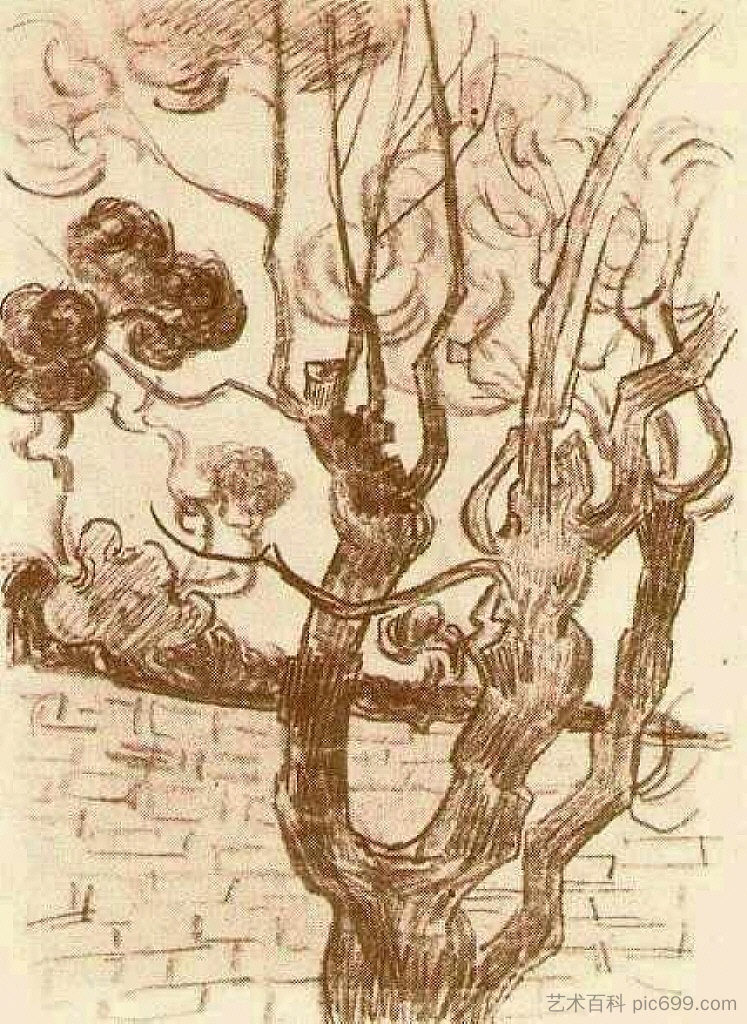 靠着疯人院墙的树梢 Treetop Seen against the Wall of the Asylum (1889; Saint-rémy-de-provence,France  )，文森特·梵高