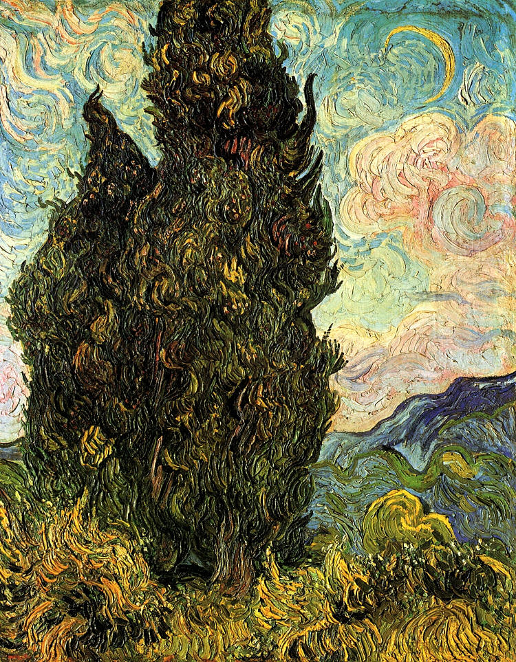 两棵柏树 Two Cypresses (1889; Saint-rémy-de-provence,France  )，文森特·梵高