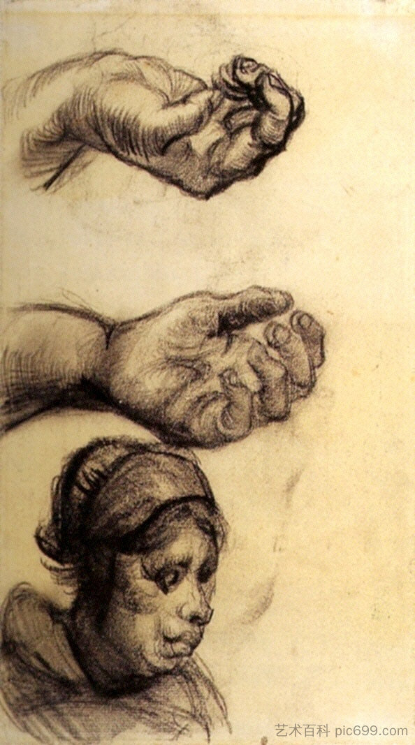 《两只手和一个女人的头 Two Hands and a Woman s Head (1885),文森特·梵高