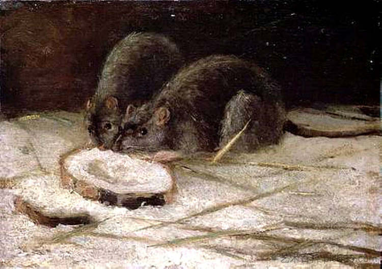 两只老鼠 Two Rats (1884; Nunen / Nuenen,Netherlands  )，文森特·梵高