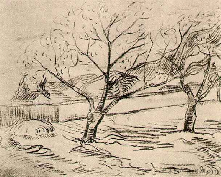 两棵树 Two Trees (c.1889; Saint-rémy-de-provence,France ),文森特·梵高