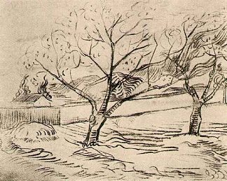 两棵树 Two Trees (c.1889; Saint-rémy-de-provence,France                     )，文森特·梵高