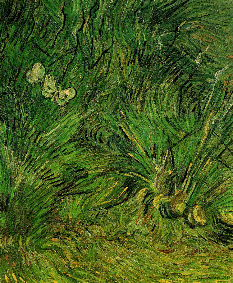两只白蝴蝶 Two White Butterflies (1889; Saint-rémy-de-provence,France ),文森特·梵高