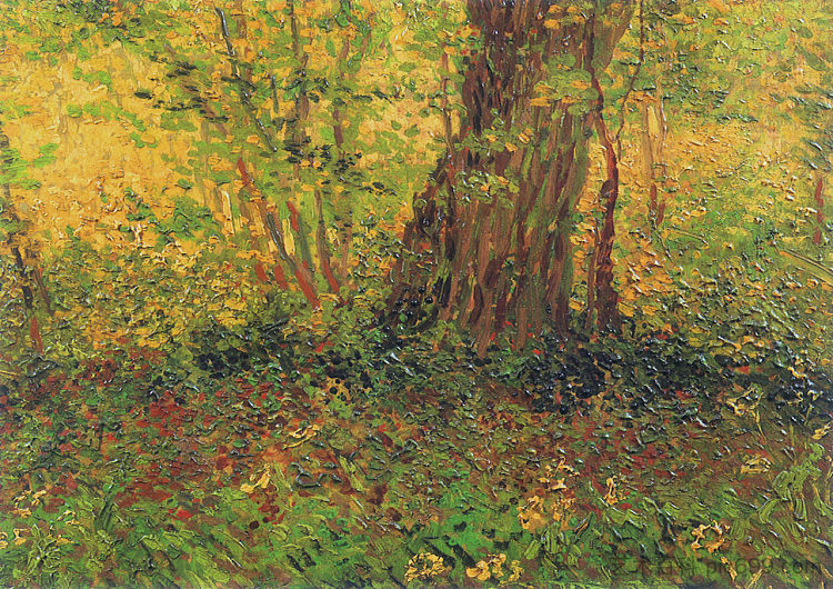 灌木丛 Undergrowth (1887; Paris,France  )，文森特·梵高