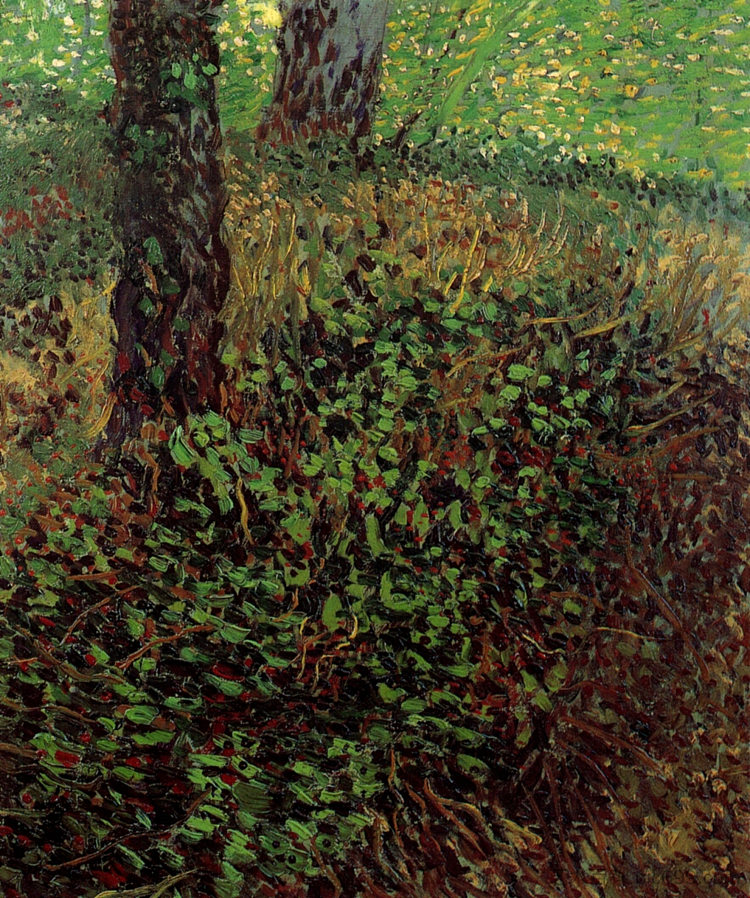 灌木丛 Undergrowth (1887; Paris,France  )，文森特·梵高