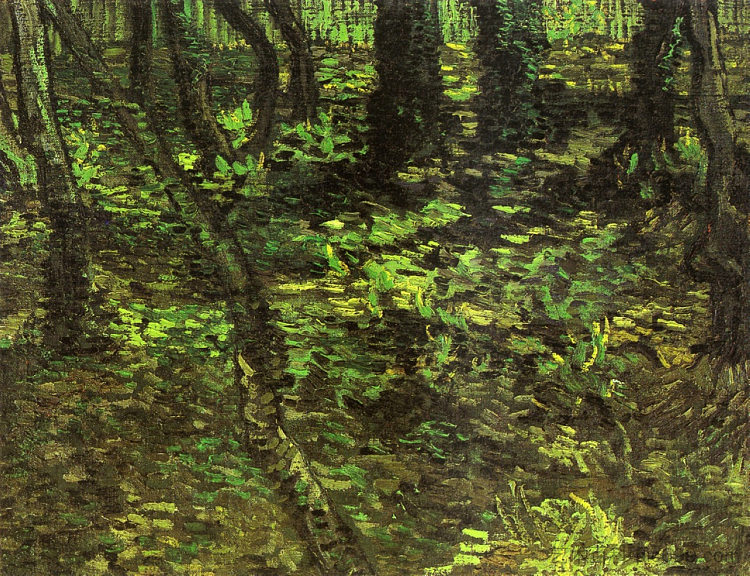 灌木丛与常春藤 Undergrowth with Ivy (1889; Saint-rémy-de-provence,France ),文森特·梵高