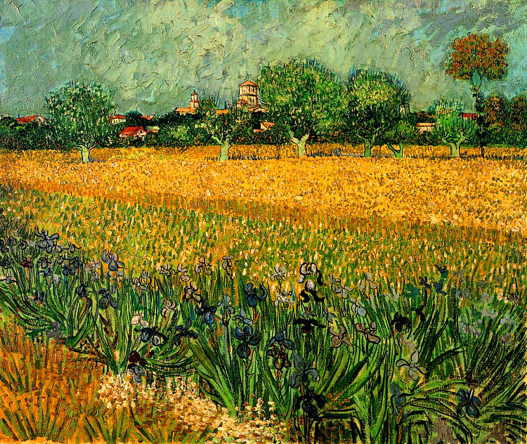 阿尔勒的景色，前景中有鸢尾花 View of Arles with Irises in the Foreground (1888; Arles,Bouches-du-Rhône,France  )，文森特·梵高