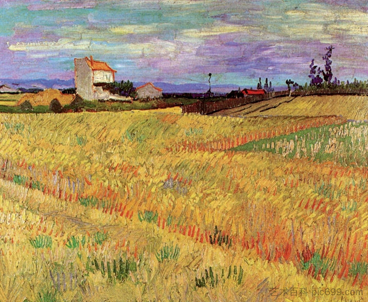 麦田 Wheat Field (1888; Arles,Bouches-du-Rhône,France  )，文森特·梵高