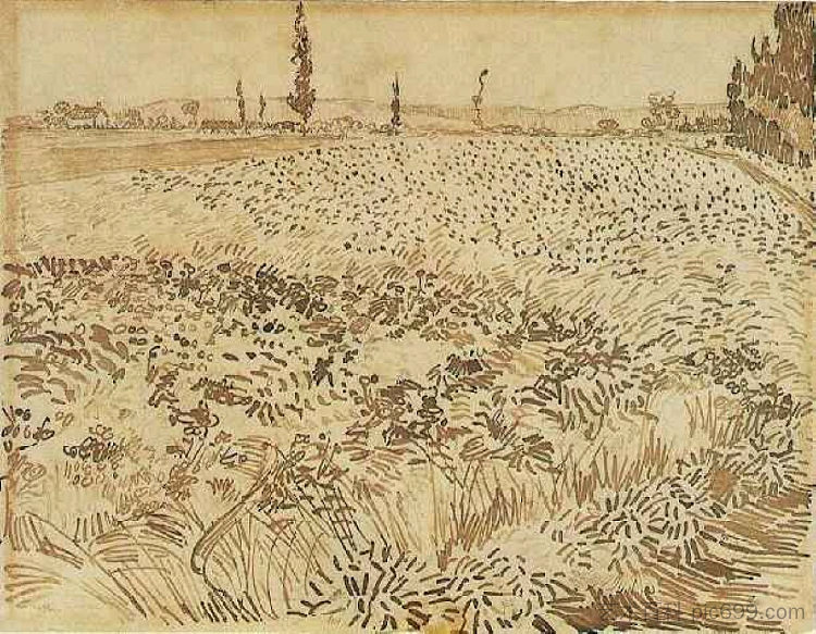 麦田 Wheat Field (1888; Arles,Bouches-du-Rhône,France  )，文森特·梵高