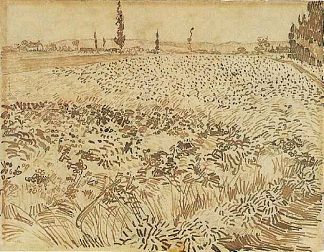 麦田 Wheat Field (1888; Arles,Bouches-du-Rhône,France                     )，文森特·梵高