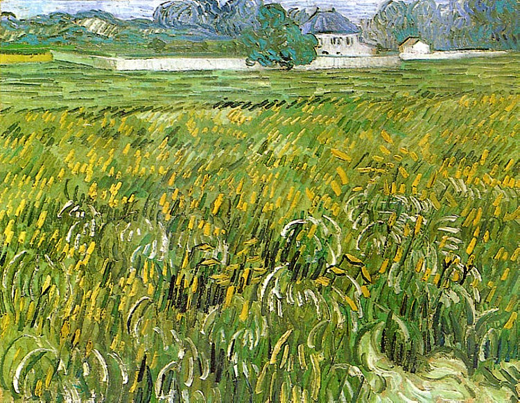 奥弗斯的麦田与白宫 Wheat Field at Auvers with White House (1890; Auvers-sur-oise,France  )，文森特·梵高