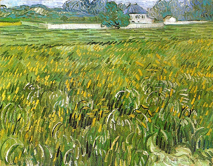 奥弗斯的麦田与白宫 Wheat Field at Auvers with White House (1890; Auvers-sur-oise,France  )，文森特·梵高