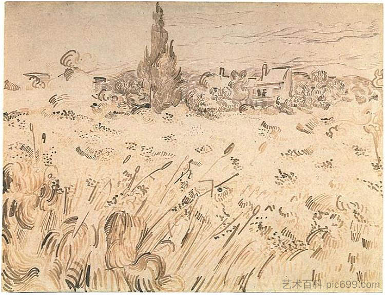 麦田与柏树 Wheat Field with Cypresses (1889; Saint-rémy-blanzy,France  )，文森特·梵高