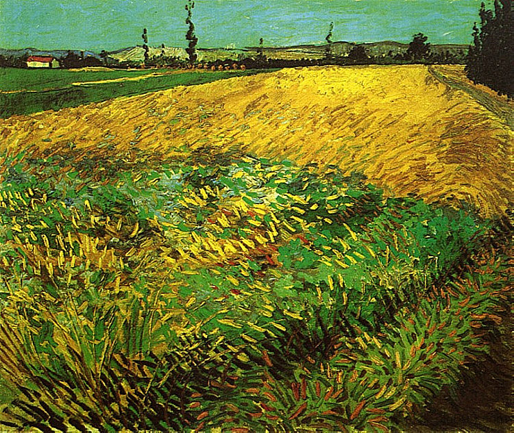 麦田与阿尔皮勒山麓的背景 Wheat Field with the Alpilles Foothills in the Background (1888; Arles,Bouches-du-Rhône,France  )，文森特·梵高