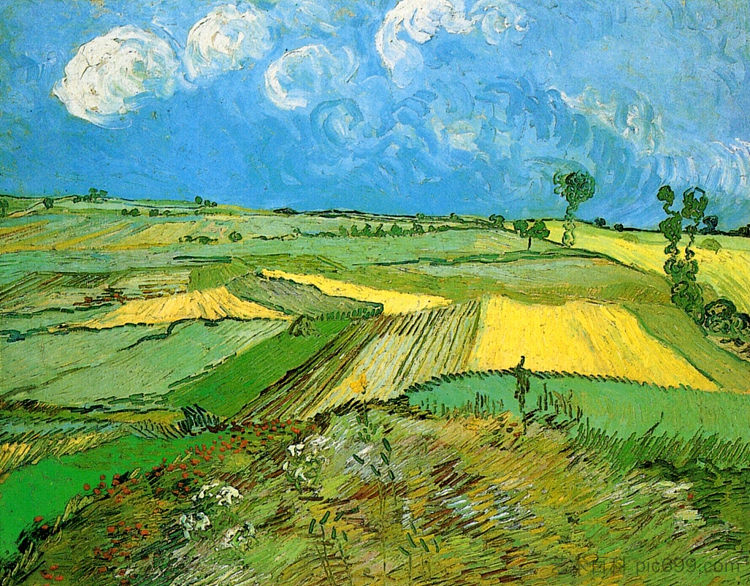 乌云密布的天空下的麦田 Wheat Fields at Auvers Under Clouded Sky (1890; Auvers-sur-oise,France  )，文森特·梵高