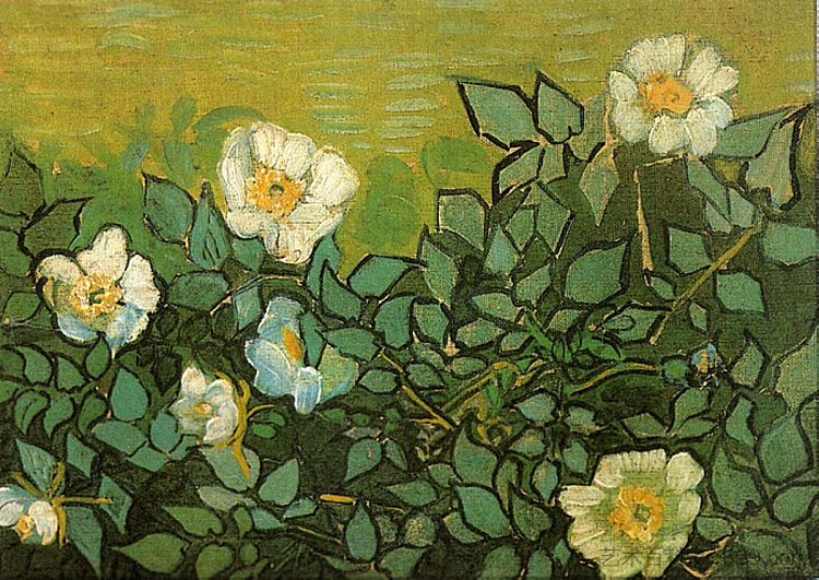 野玫瑰 Wild Roses (1890; Auvers-sur-oise,France ),文森特·梵高