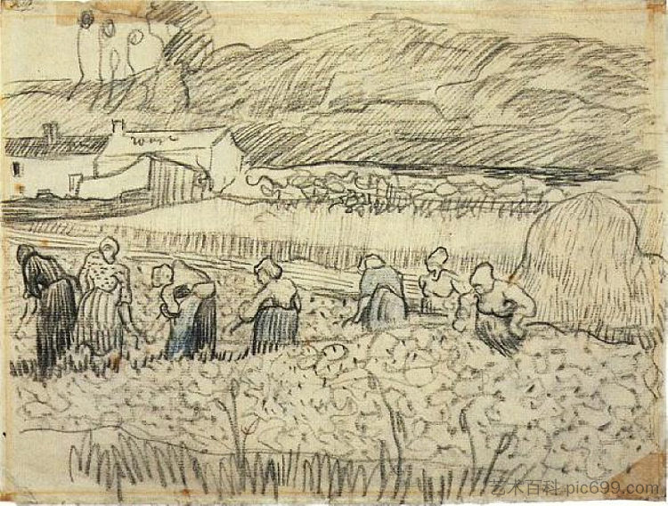 在麦田里工作的妇女 Women Working in Wheat Field (1890; Auvers-sur-oise,France  )，文森特·梵高