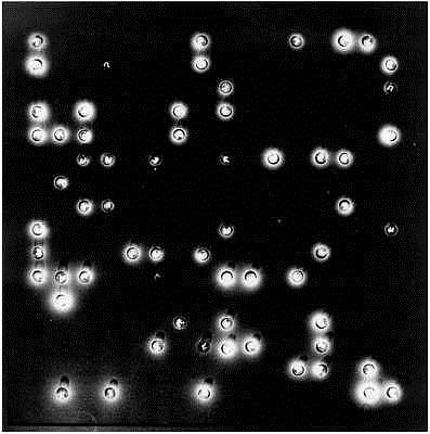 随机 63 Random 63 (1969)，弗拉基米尔·博纳西奇