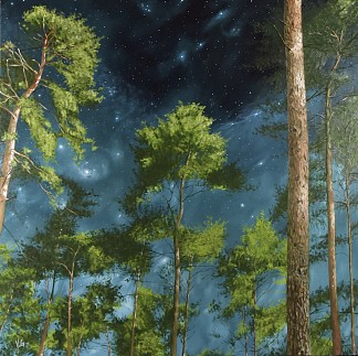 森林之夜 Night in the forest (2019; France                     )，戈兰·沃吉诺维奇