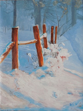 冬 Winter (2016; France                     )，戈兰·沃吉诺维奇