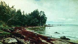 一个海湾 A bay (1878)，弗拉基米尔奥尔洛夫斯基