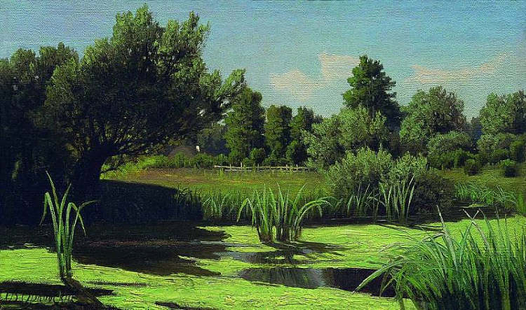 风景。河里的芦苇。 The landscape. The reeds in the river. (c.1890),弗拉基米尔奥尔洛夫斯基
