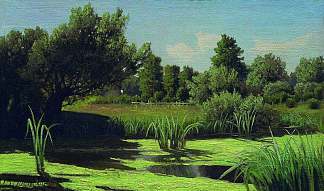 风景。河里的芦苇。 The landscape. The reeds in the river. (c.1890)，弗拉基米尔奥尔洛夫斯基