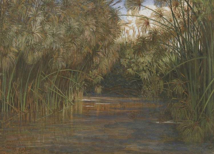 锡拉丘兹，阿纳波河 Syracuse, Anapo River (1904)，沃尔特·克兰
