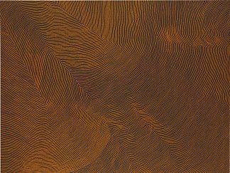 无题 Untitled (2007)，Warlimpirrnga Tjapaltjarri